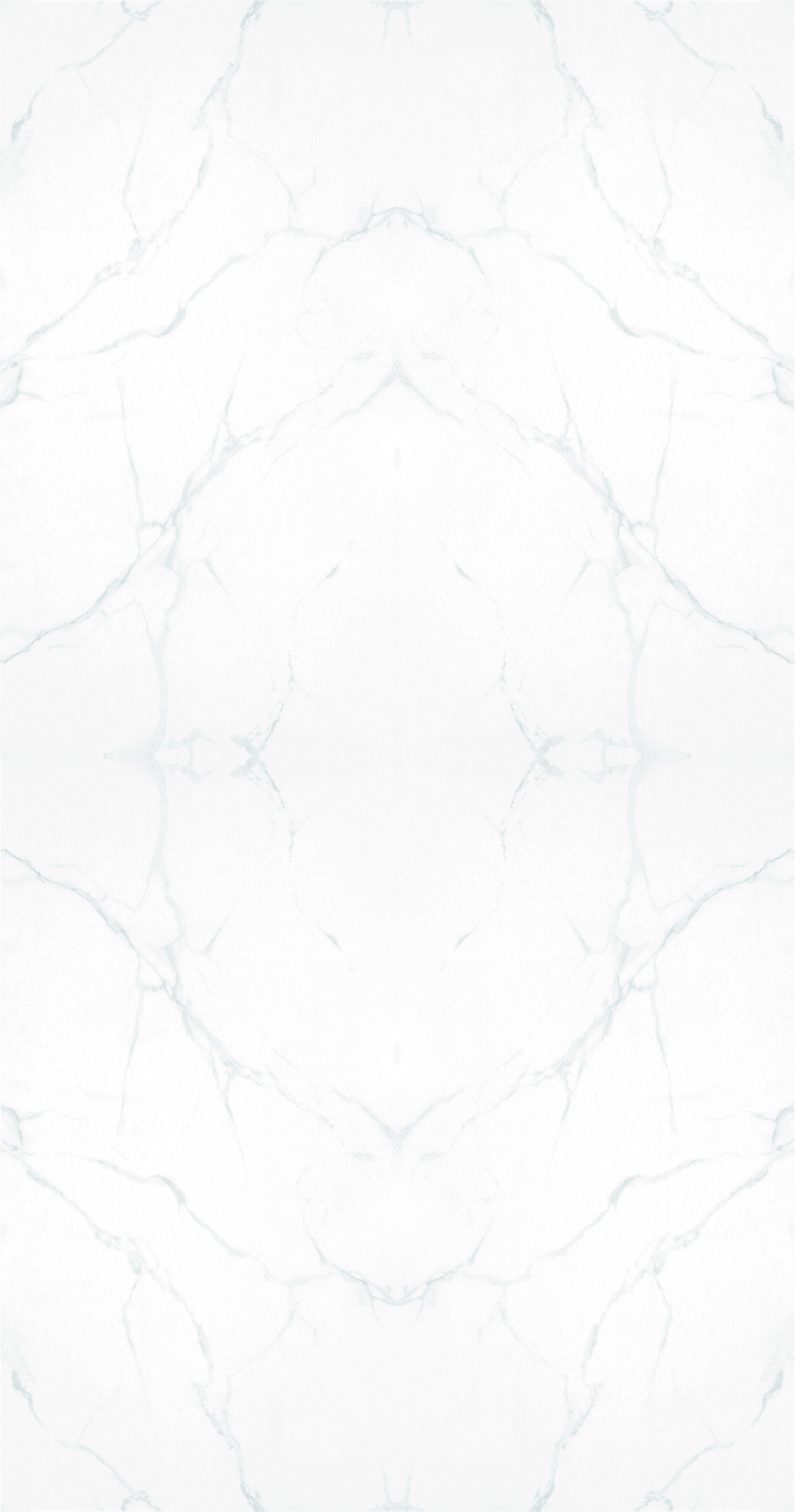 1銀狐 2x2 a.jpg 1銀狐 2x2 a.jpg